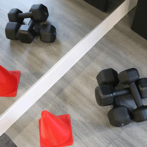 Halteres e cones de treino